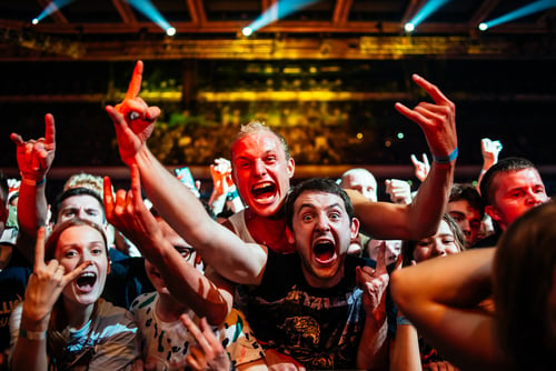 fans at a concert